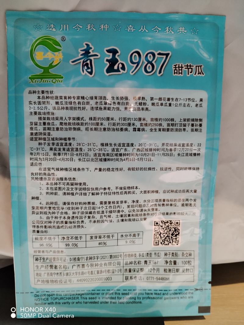 青玉987甜节瓜毛节瓜种子极早熟无蜡粉果实商品性好