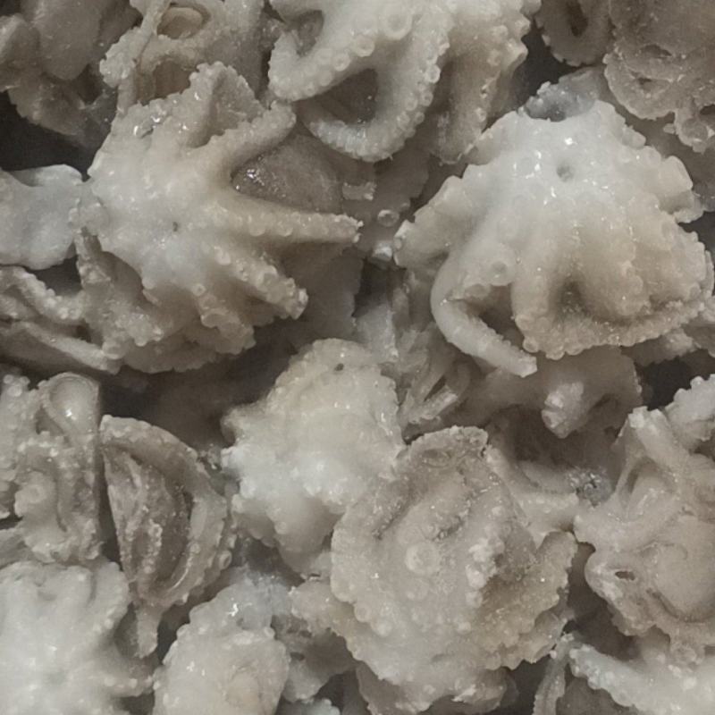 盐揉八爪鱼，长期运输，价格稳定，保质保量