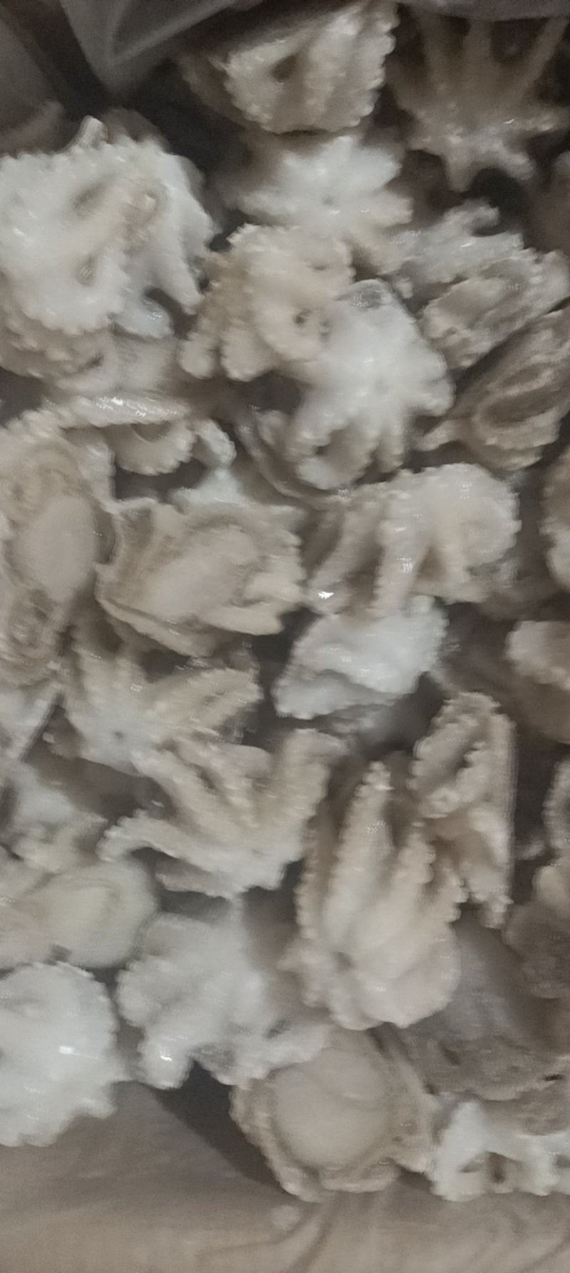 盐揉八爪鱼，长期运输，价格稳定，保质保量