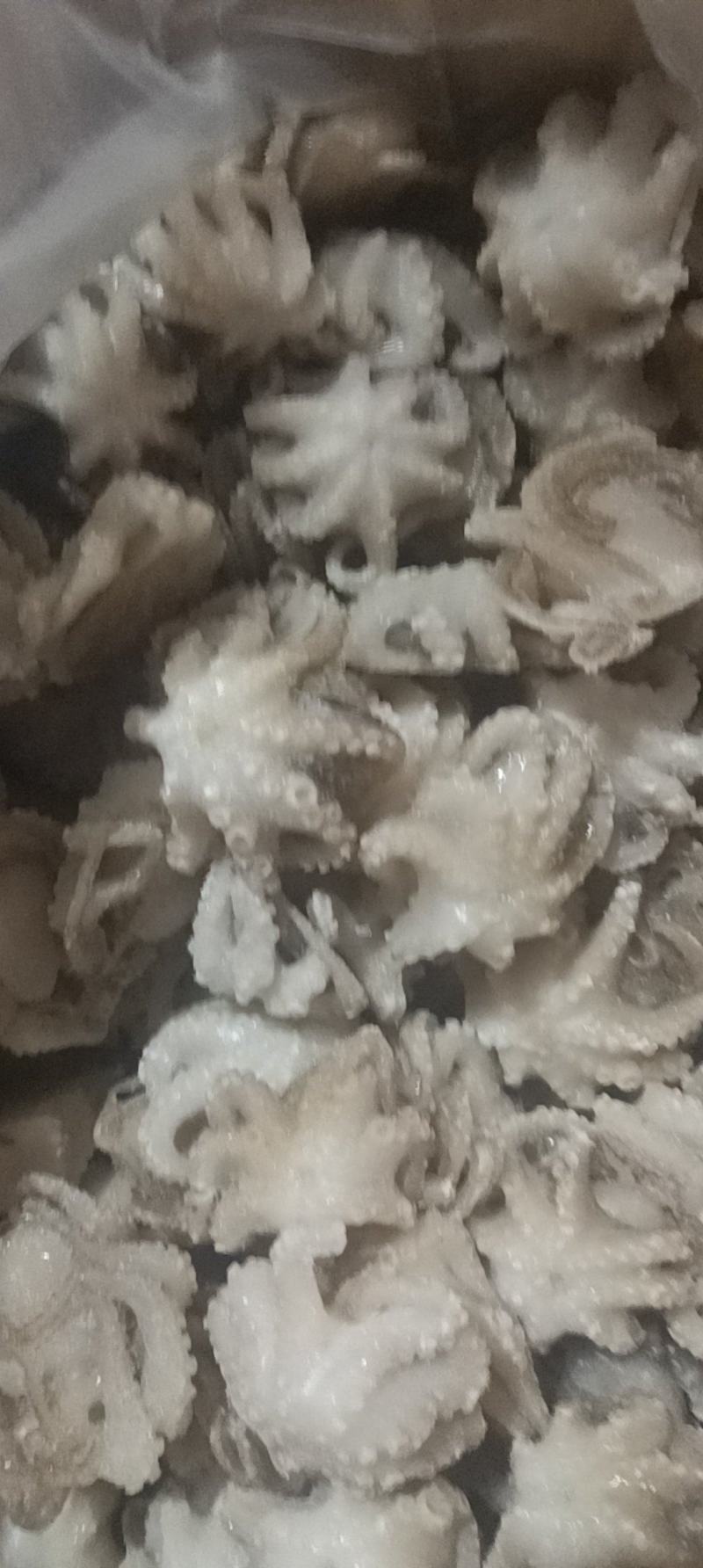 盐揉八爪鱼，长期运输，价格稳定，保质保量