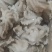盐揉八爪鱼，长期运输，价格稳定，保质保量