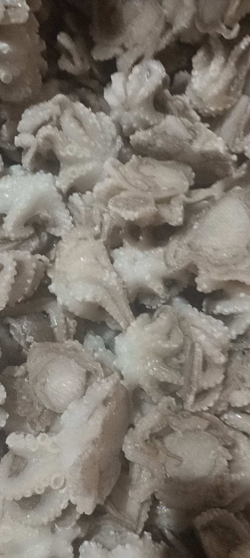 盐揉八爪鱼，长期运输，价格稳定，保质保量