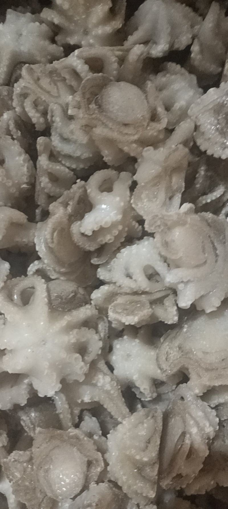 盐揉八爪鱼，长期运输，价格稳定，保质保量