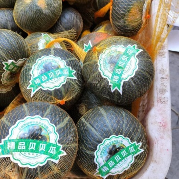 贝贝瓜大量上市