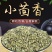 【小茴香】产地直发调味料小茴香货量充足欢迎电话咨询