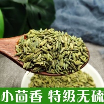 【小茴香】产地直发调味料小茴香货量充足欢迎咨询