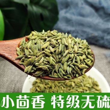 【小茴香】产地直发调味料小茴香货量充足欢迎电话咨询