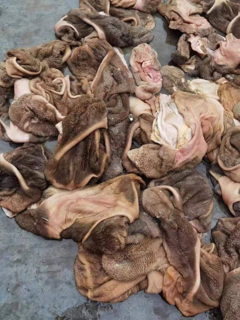 牛肚，一手货源，常年有货，质量保证欢迎来电洽谈合作