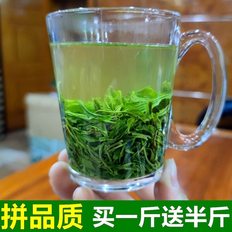新茶产地直发信阳毛尖产地发货不满意包退支持电商供货