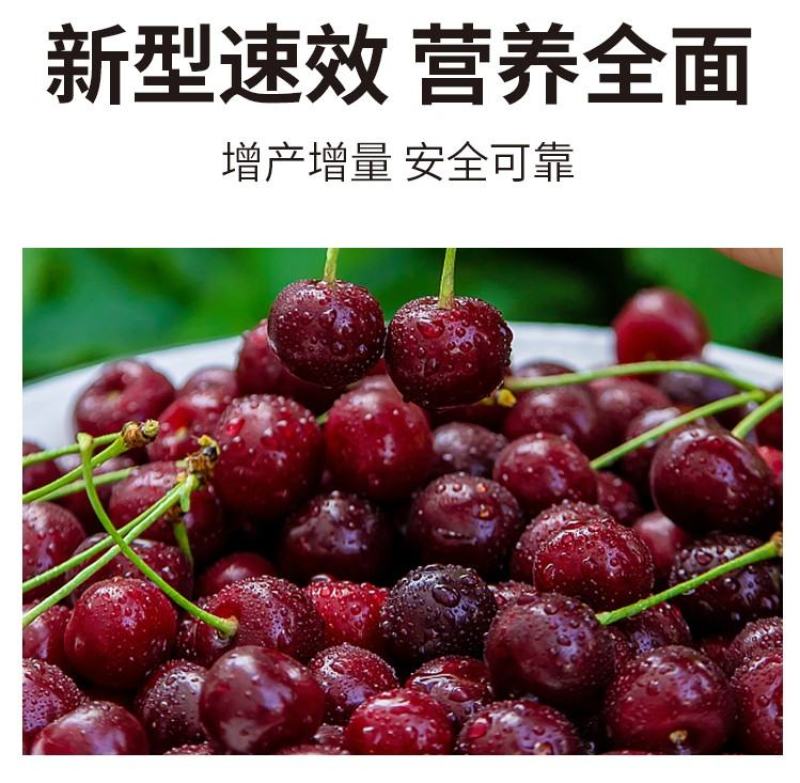 速利流体锌高纯度锌肥蔬菜果树补锌叶面肥预防小叶黄叶