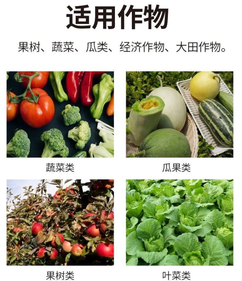 速利流体锌高纯度锌肥蔬菜果树补锌叶面肥预防小叶黄叶