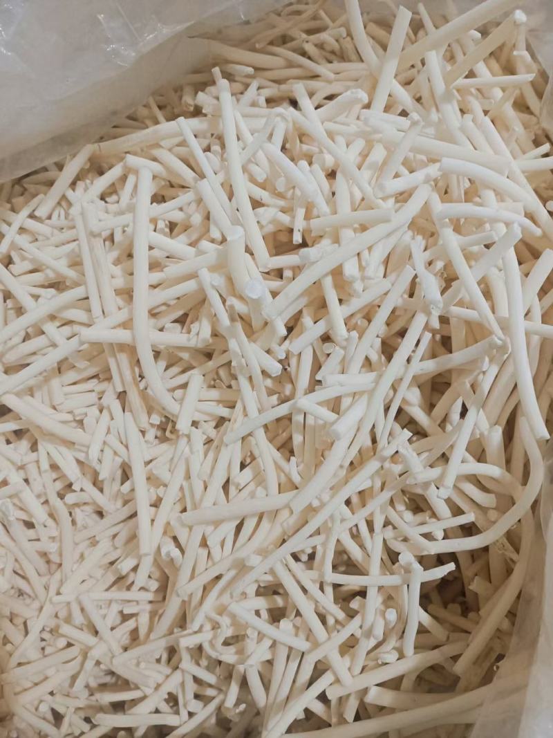 陕西商洛高含量通草大量供应中