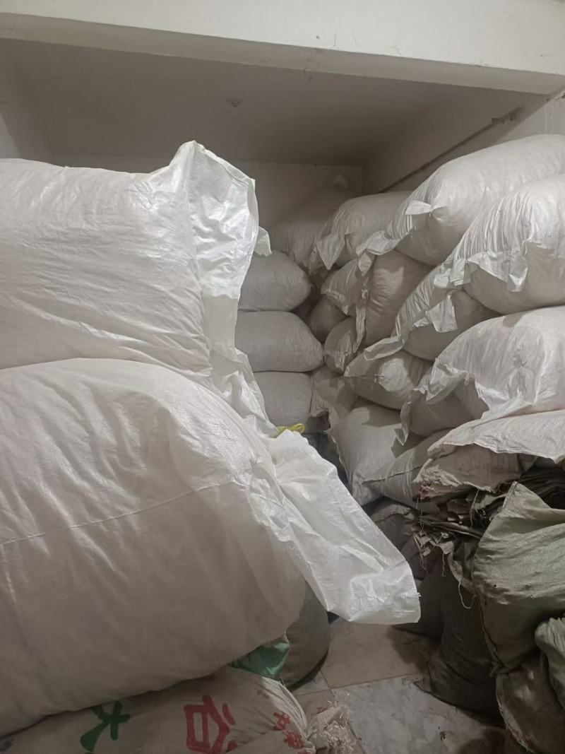 陕西商洛高含量通草大量供应中