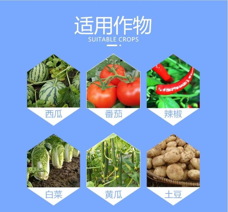 生命一号氨基酸水溶肥料叶面肥激活植物免疫系统绿叶抗病