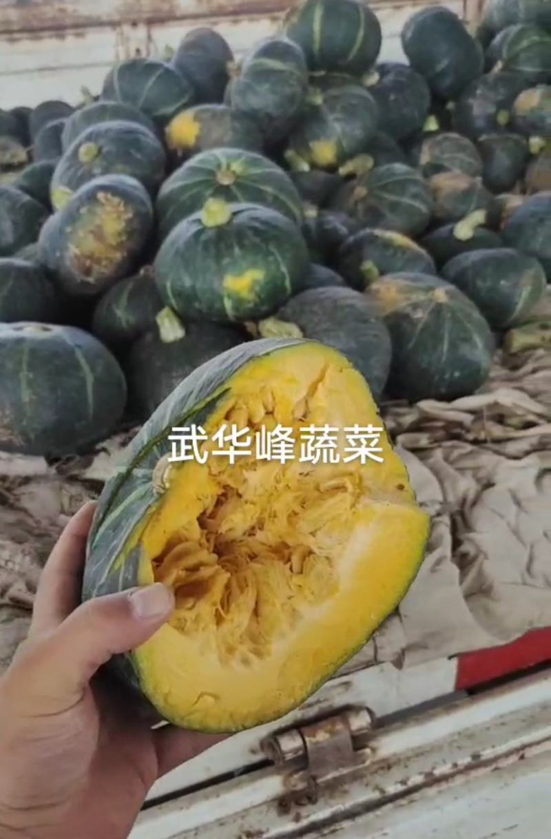 【实力】山西板栗南瓜大量上市支持散装袋装