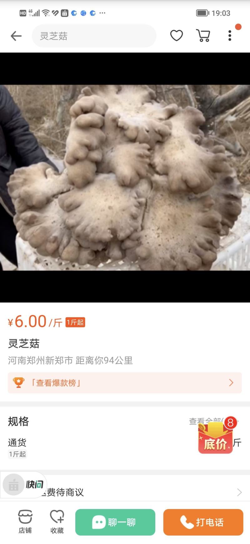 灵芝菇，高端食材，长期食用，能消除体内自由基。