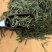 凤冈锌硒茶！绿色有机无公害！毛峰！雀舌！绿宝石，遵义红！