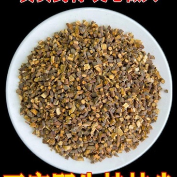 桂枝桂枝尖大量供应