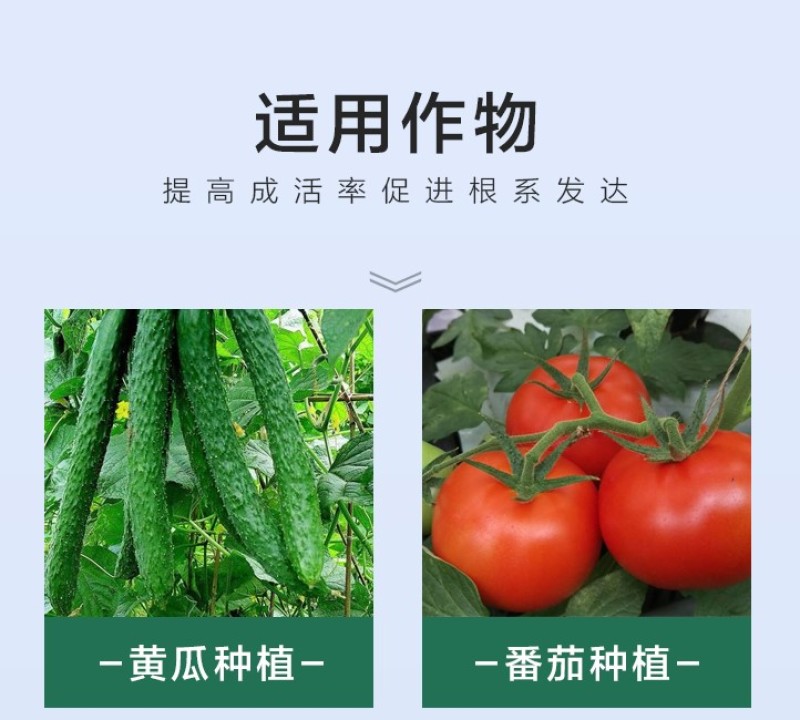 泰苗壮吲丁萘乙酸增产促进生根爆发生根植物生长调节剂