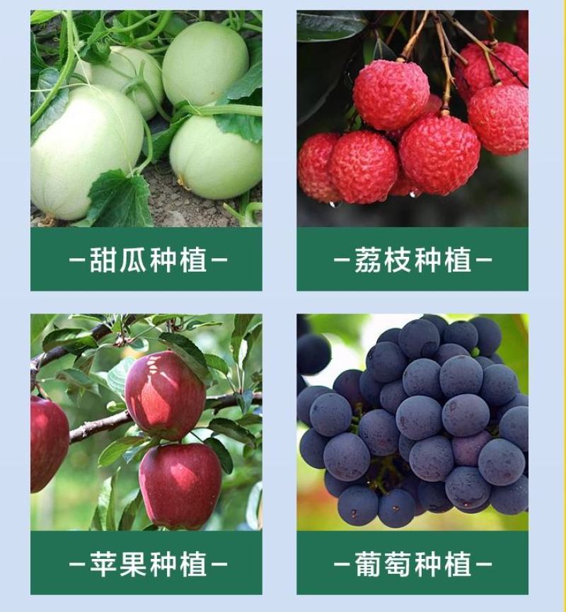 泰苗壮吲丁萘乙酸增产促进生根爆发生根植物生长调节剂
