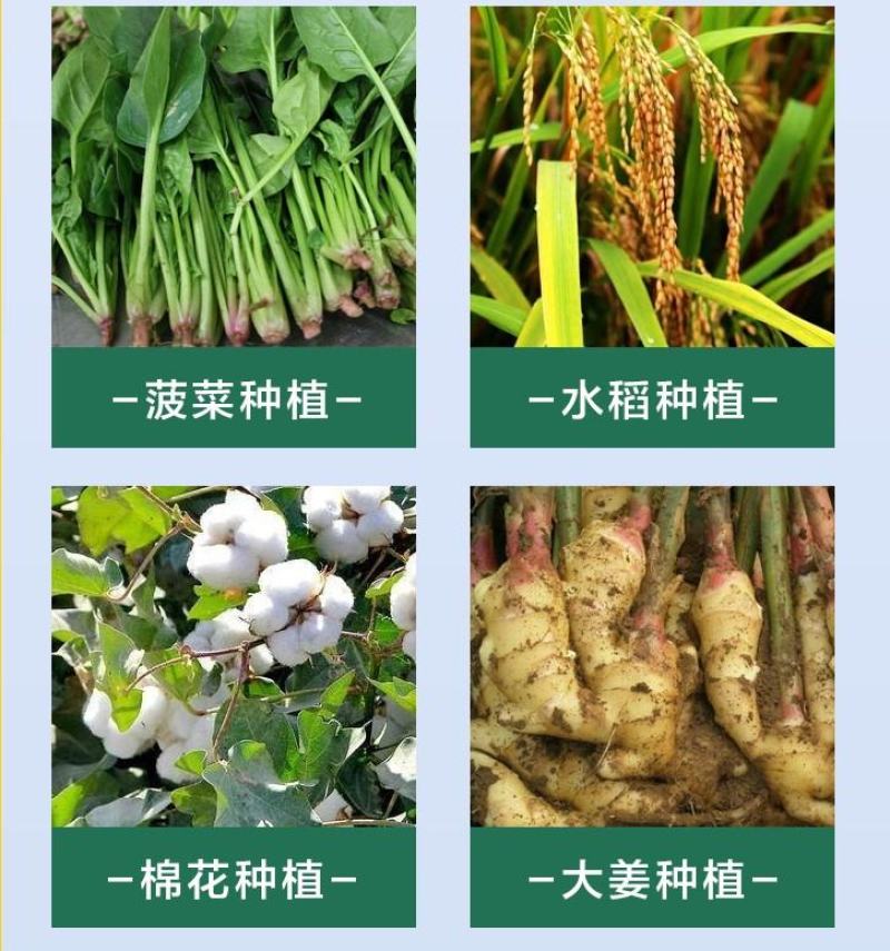 泰苗壮吲丁萘乙酸增产促进生根爆发生根植物生长调节剂