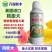 桃膨大桃树叶面肥膨大素膨果着色催红增甜提高果实硬度