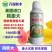 桃膨大桃树叶面肥膨大素膨果着色催红增甜提高果实硬度
