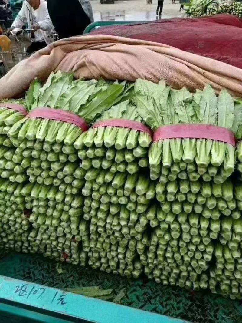 精品油麦