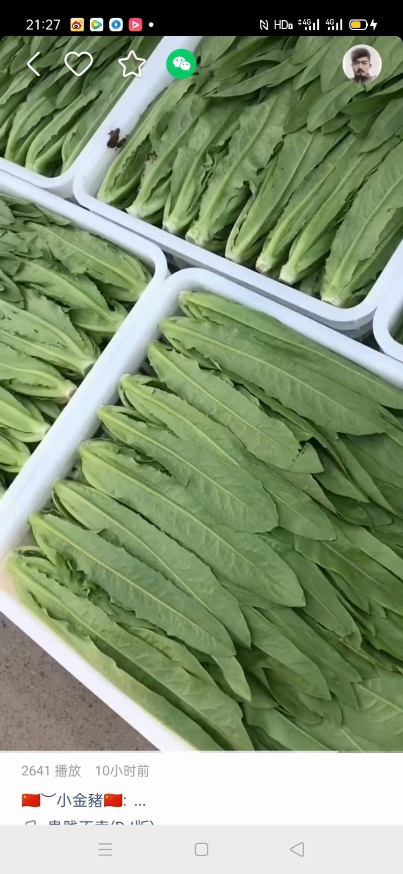 精品油麦