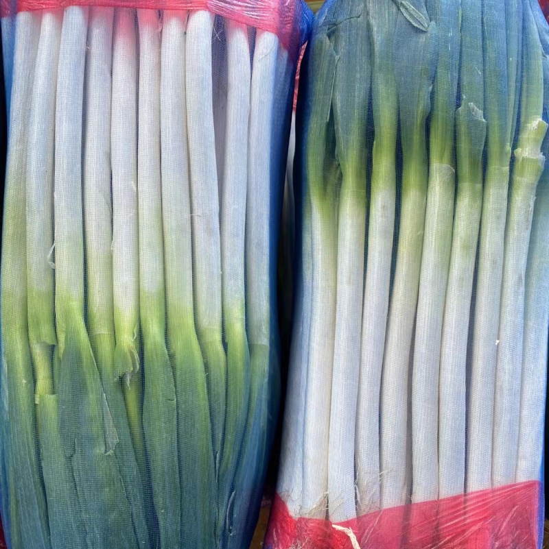 精品粗高净葱，里外一样，无细葱，无断葱，对接全国市场