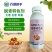 脱青转色剂冬枣大枣苹果芒果葡萄退青转白增色着色防裂增甜