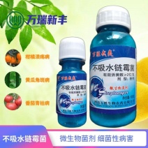 万胜武夷不吸水链霉菌细菌性病害角斑病青枯病微生物菌剂