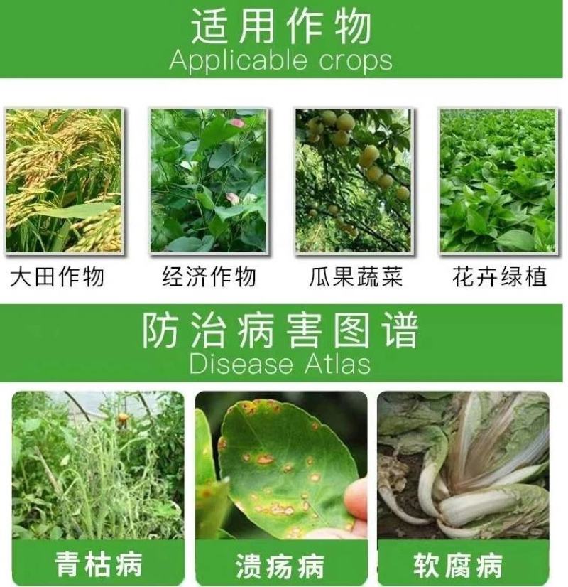 万胜武夷不吸水链霉菌细菌性病害角斑病青枯病微生物菌剂