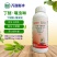 威原茶盛丁醚脲噻虫啉茶树茶小绿叶蝉蚜虫蓟马小菜蛾粉虱