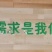 精品羊肠衣，全品类，适用于小甜肠，早餐肠，烤肠，墨鱼肠。