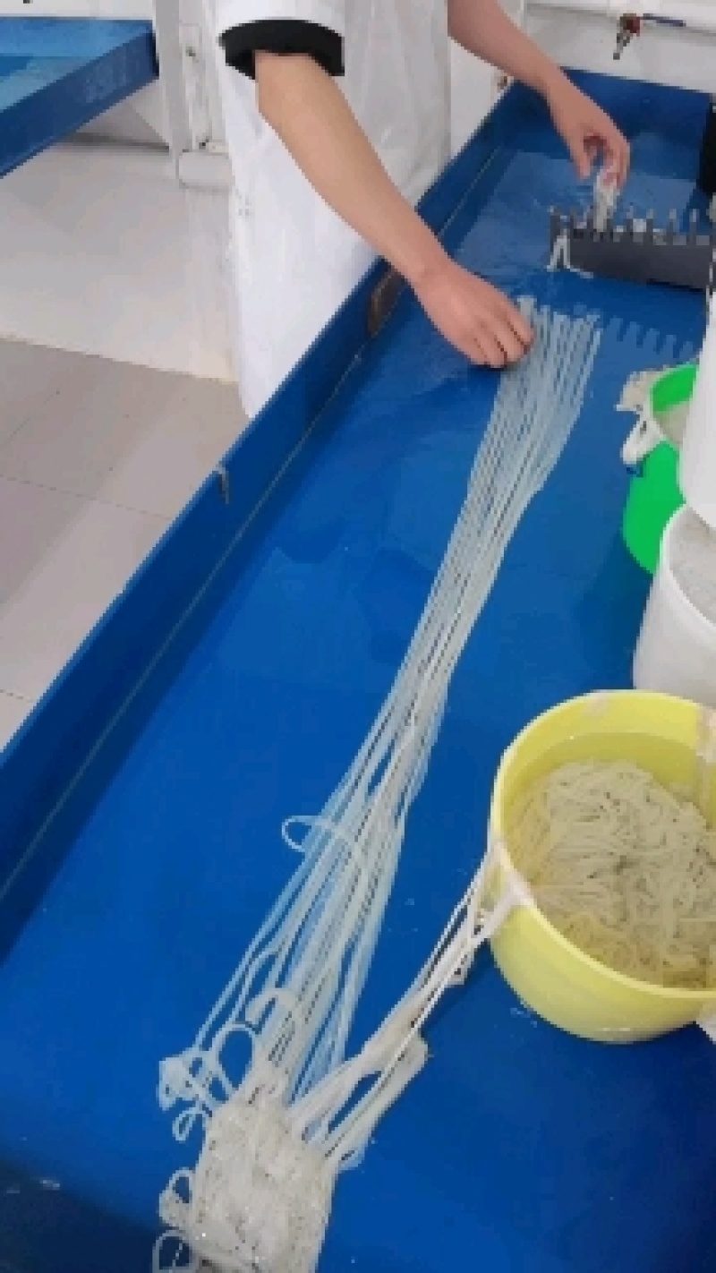 精品羊肠衣，全品类，适用于小甜肠，早餐肠，烤肠，墨鱼肠。