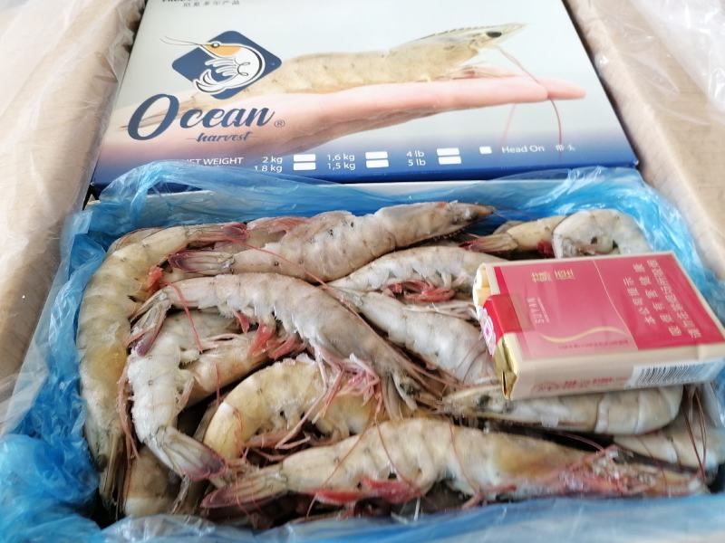 国产盐冻虾/大板虾/盐田大虾