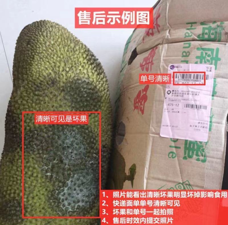 针对海南菠萝蜜优质中大果，可视频对接，多省包邮包售后！