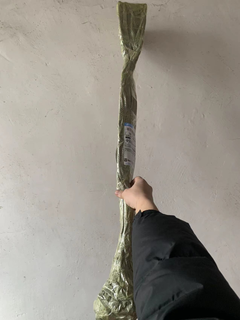 桃树杏树石榴树柿子树