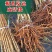 桃树杏树石榴树柿子树