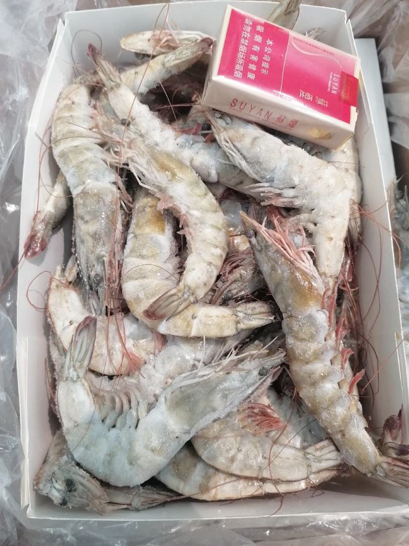 国产对虾/白对虾/大板虾/盐田大虾