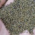 包邮沙苑子净货各种籽药新货批发各种中药材