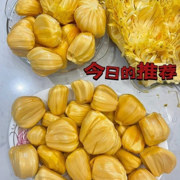 针对海南菠萝蜜优质中大果，可视频对接，多省包邮包售后！