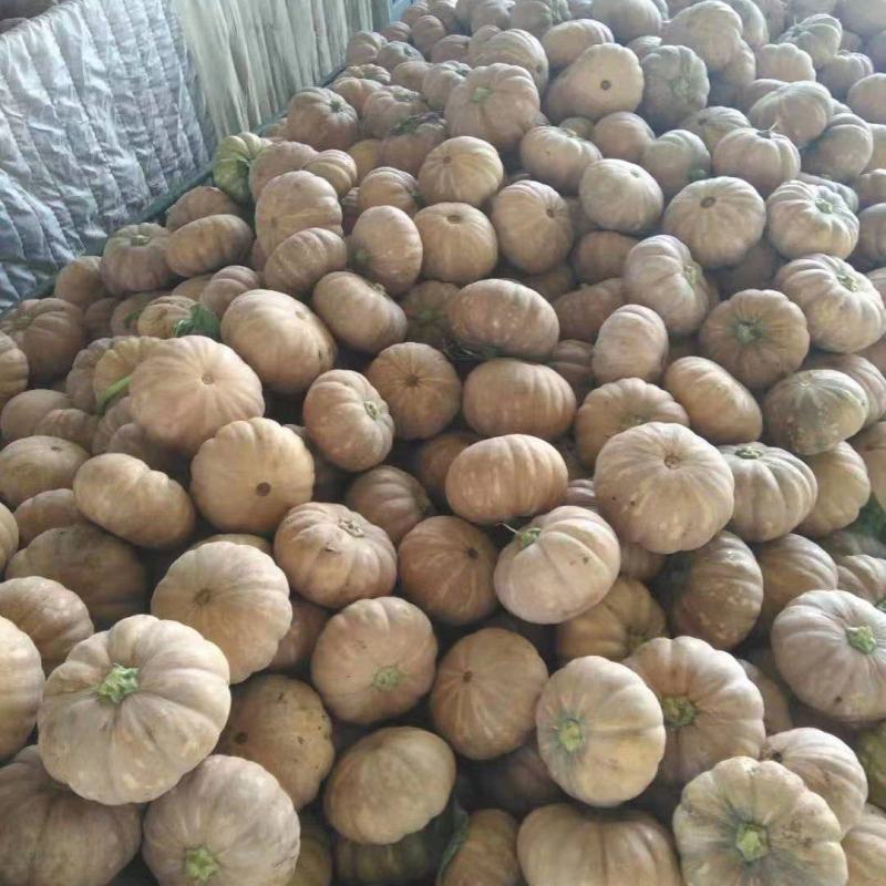 广西南宁，量大从优，欢迎选购磨盘南瓜