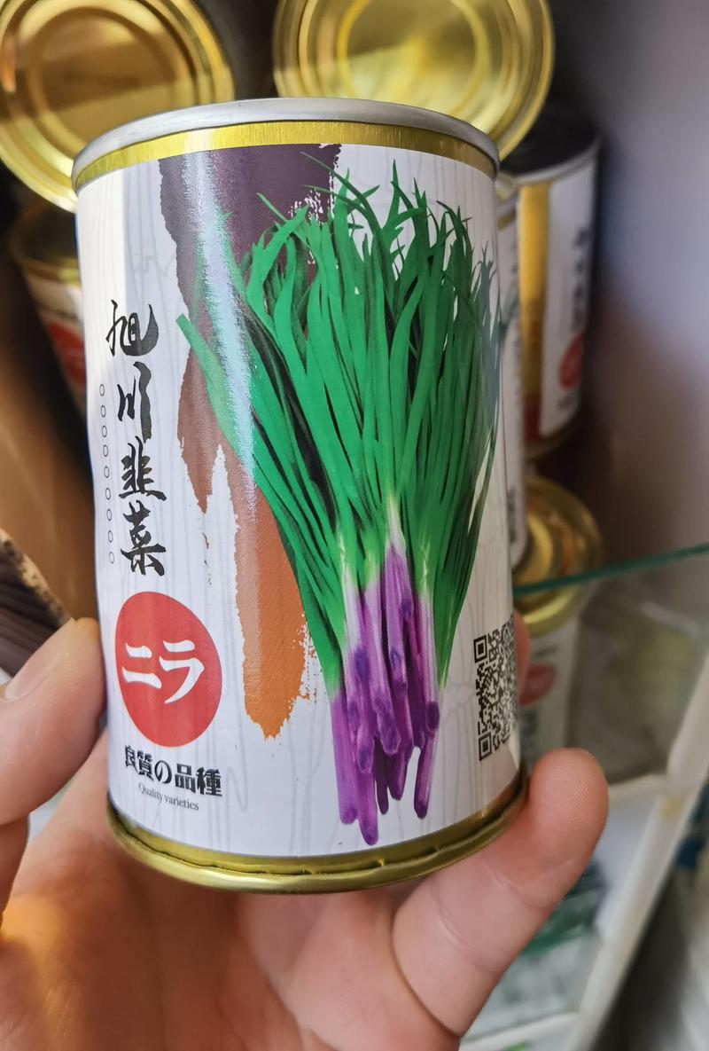 旭川红根韭菜种子日本引进红韭菜种子籽高产耐寒四季蔬菜种子