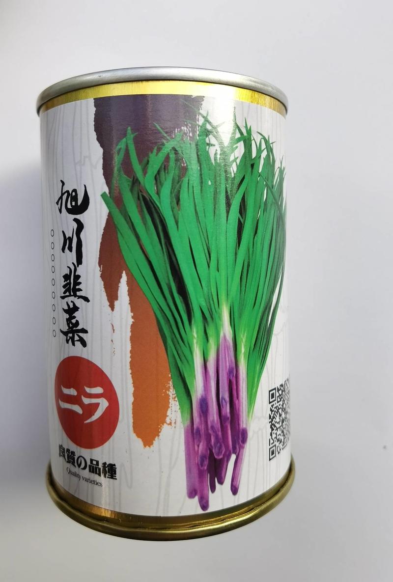 旭川红根韭菜种子日本引进红韭菜种子籽高产耐寒四季蔬菜种子