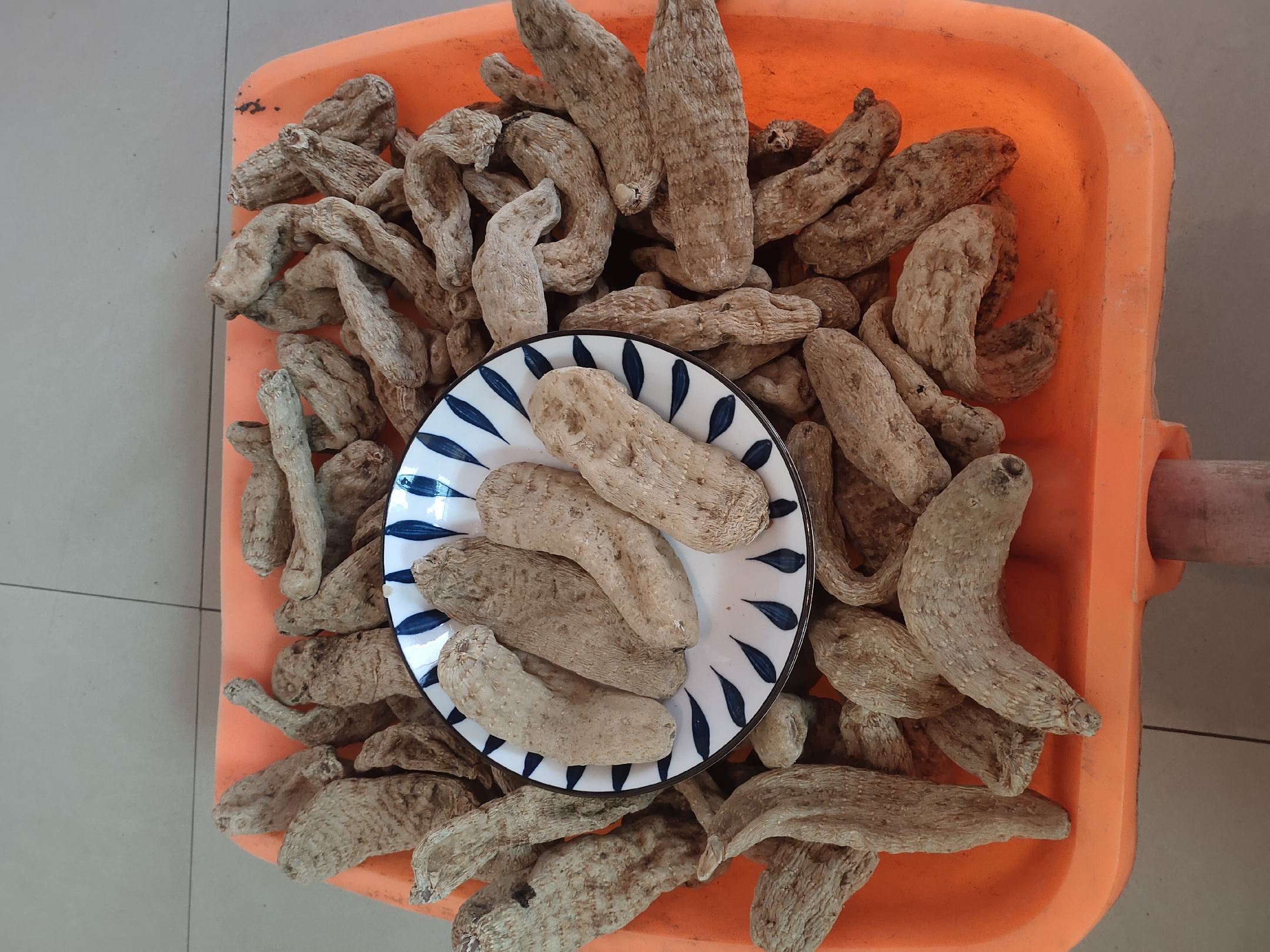 实验室研究场景