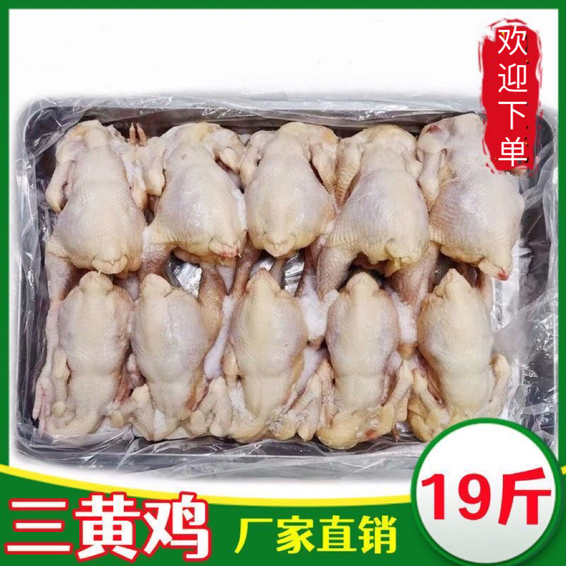 【包邮-19斤三黄鸡】批发19斤生鲜冷冻三黄鸡白条鸡鸡肉