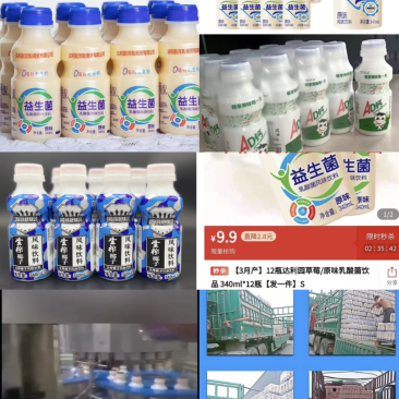达利园益生菌乳酸菌源头实力厂家全国发货可代加工