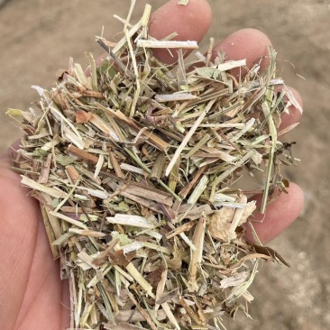 大名优质花生秧，